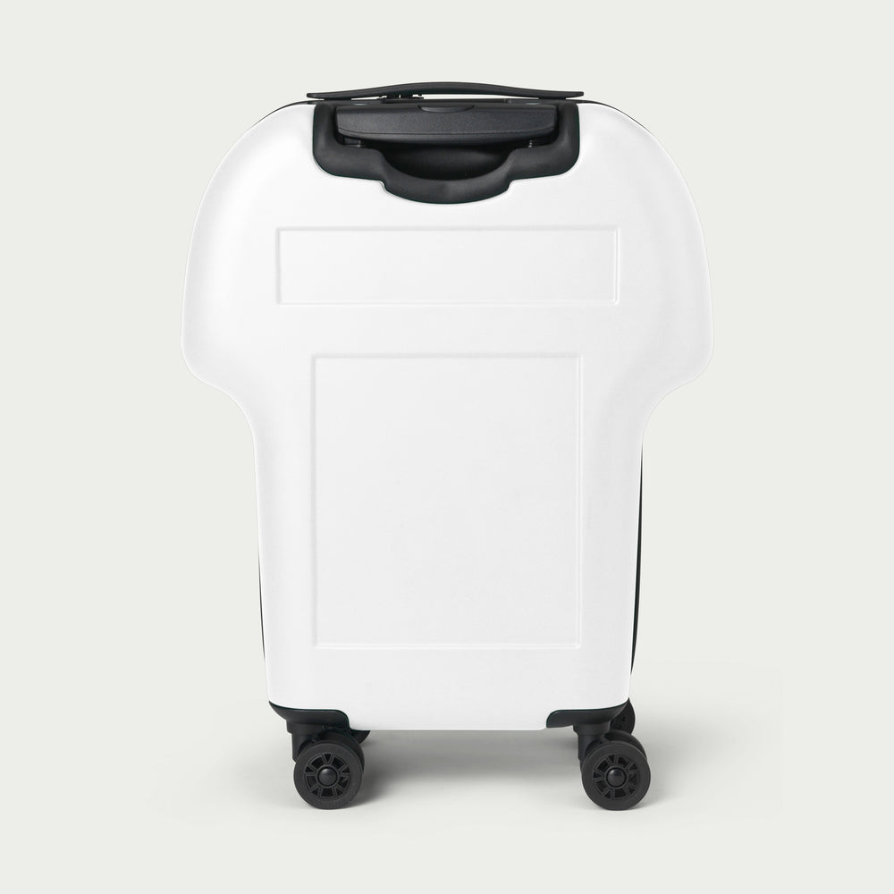 Japan Cabin Luggage